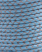 Peacock Blue